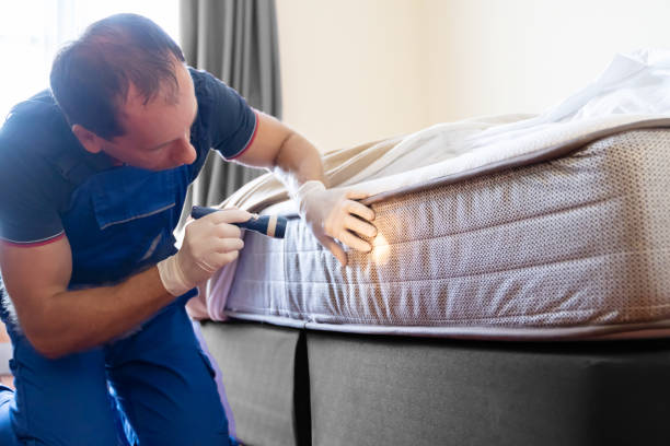 Best Bed Bug Extermination  in Spencerville, OH